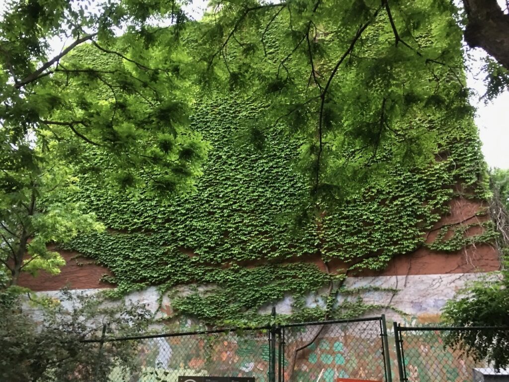 Down to Earth Garden