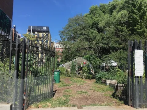 East Side Outside Community Garden